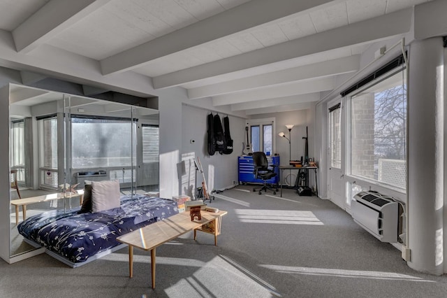 sunroom / solarium with heating unit and beam ceiling