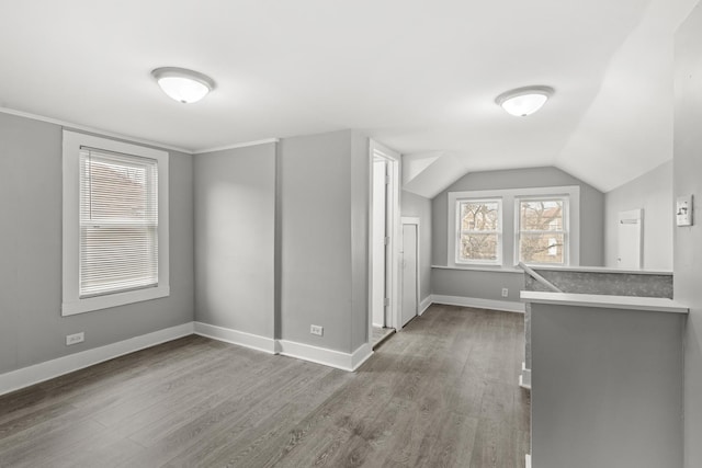 additional living space featuring wood-type flooring and vaulted ceiling