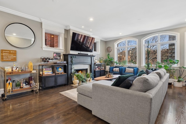 living room featuring crown molding and dark wood-type flooring