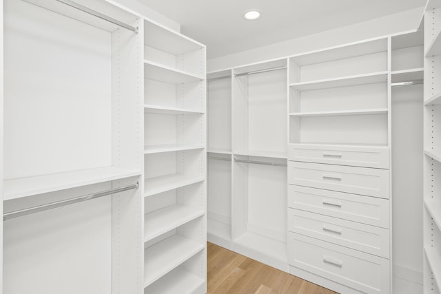 spacious closet featuring light hardwood / wood-style floors