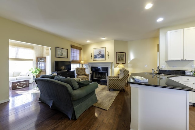 living room with dark hardwood / wood-style flooring and sink