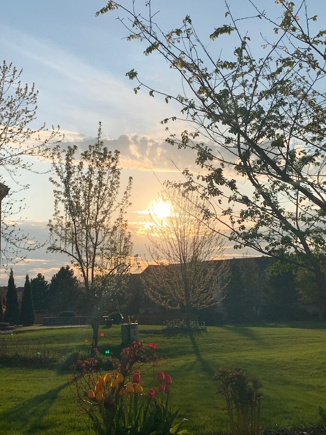 view of community featuring a lawn