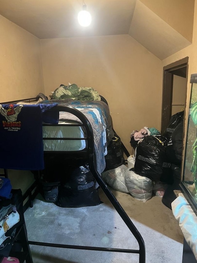 bedroom featuring lofted ceiling