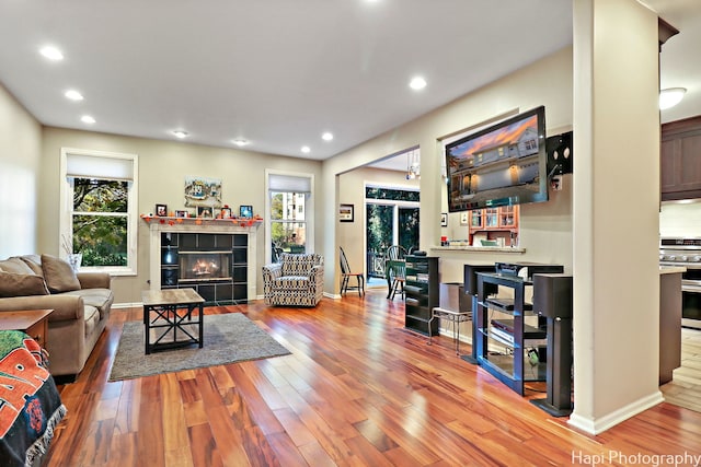 living room with hardwood / wood-style flooring and a tile fireplace