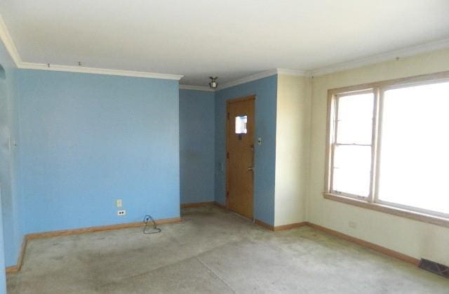 spare room featuring ornamental molding and carpet