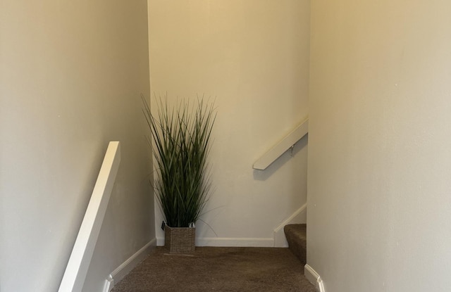 stairs with carpet floors