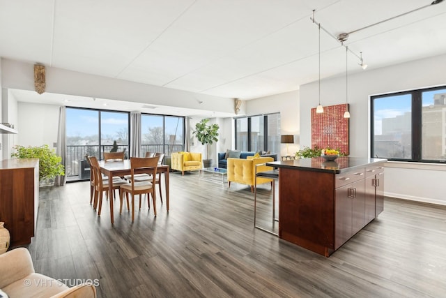 kitchen featuring a healthy amount of sunlight, a center island, pendant lighting, and dark hardwood / wood-style floors