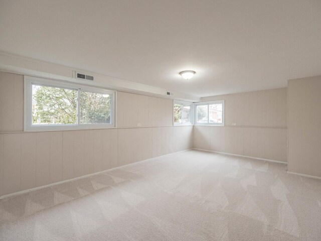 basement with light carpet