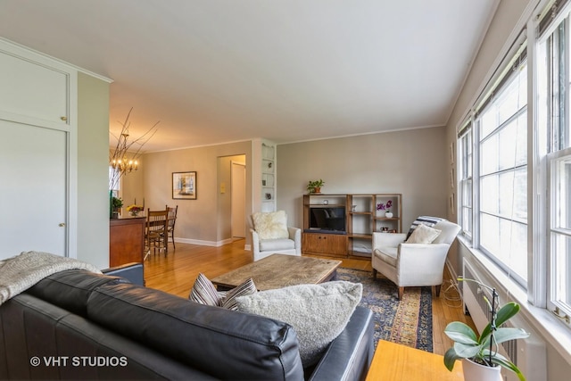 living room featuring an inviting chandelier, ornamental molding, a wealth of natural light, and light wood-type flooring