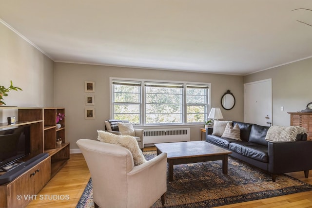 living room featuring crown molding, radiator heating unit, and light hardwood / wood-style floors