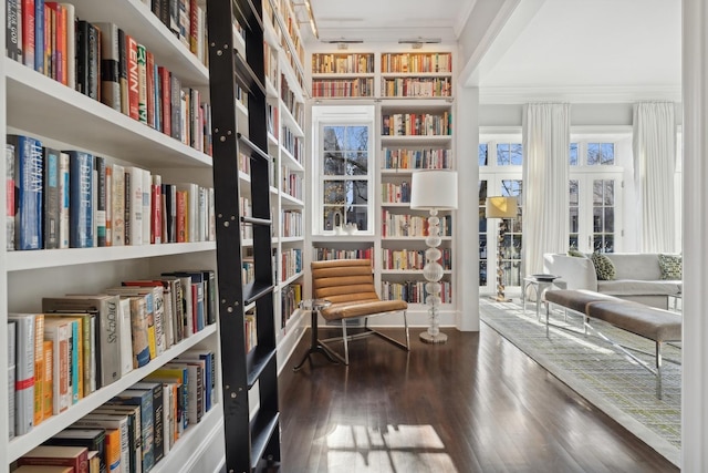 sitting room with dark hardwood / wood-style floors