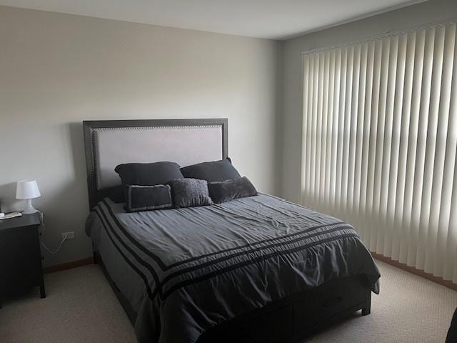 carpeted bedroom with multiple windows