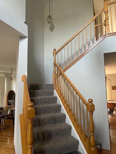 stairway with hardwood / wood-style flooring