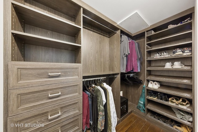 walk in closet with dark hardwood / wood-style floors