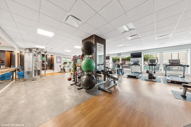 exercise room with a paneled ceiling and light hardwood / wood-style flooring