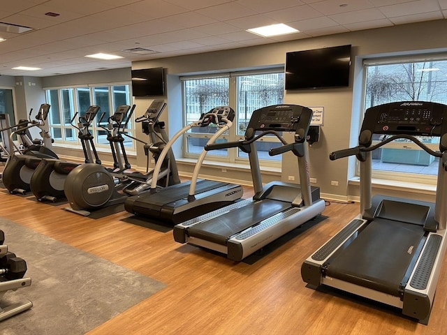 workout area featuring a paneled ceiling and light hardwood / wood-style floors