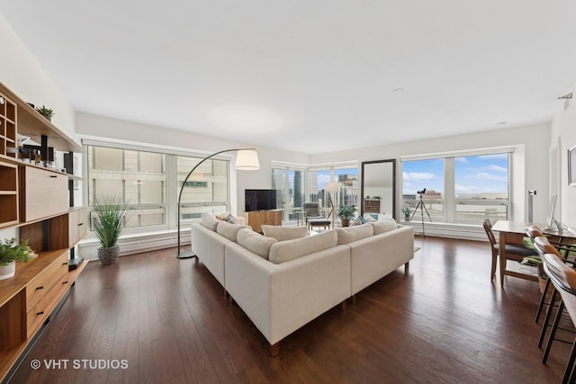 living room featuring dark hardwood / wood-style flooring