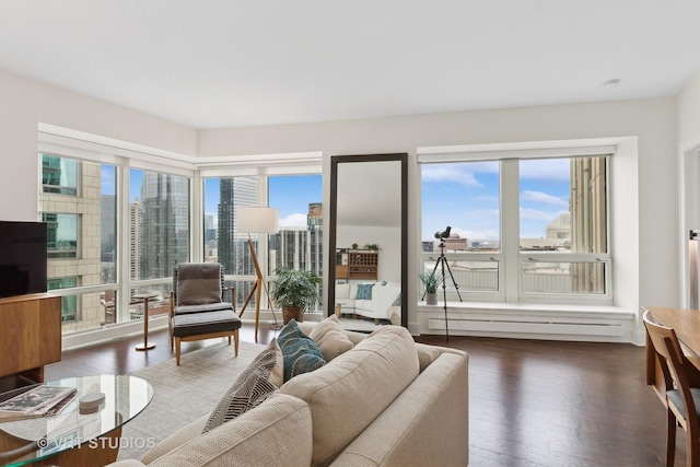 living room with dark hardwood / wood-style flooring