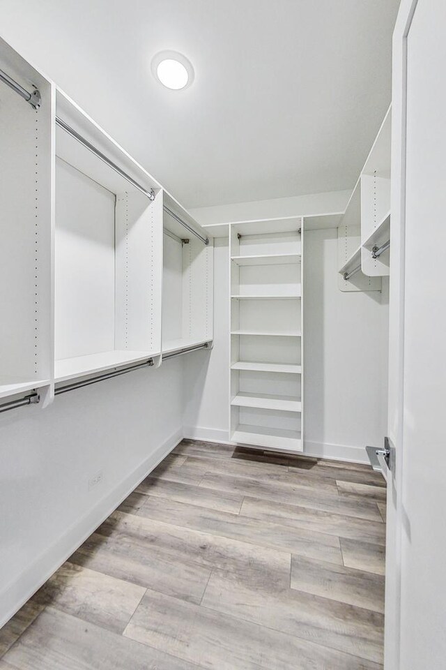 spacious closet featuring light wood-type flooring