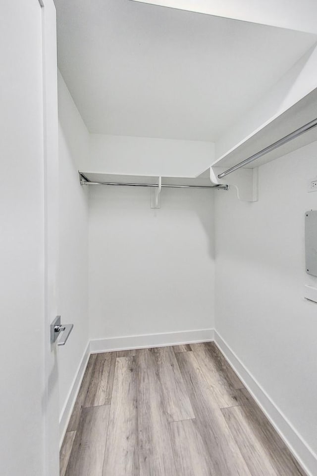 walk in closet with light wood-type flooring