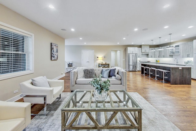 living room featuring sink and wood-type flooring