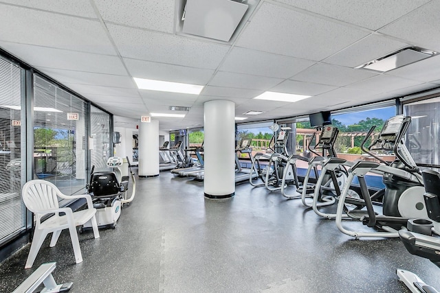 gym featuring plenty of natural light, a paneled ceiling, and a wall of windows