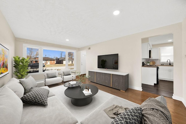 living room with dark hardwood / wood-style flooring and sink