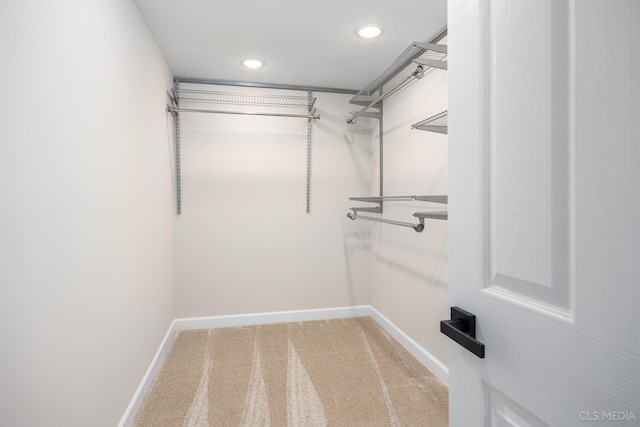 spacious closet featuring carpet floors