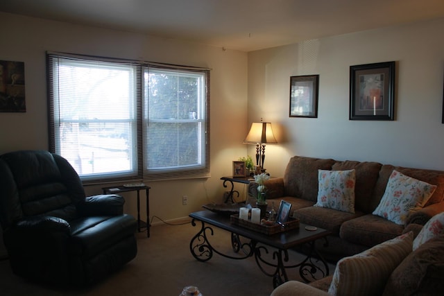 living room with carpet