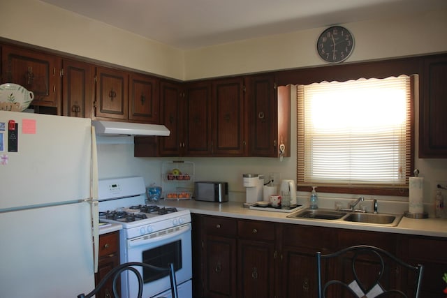 kitchen with dark brown cabinetry, sink, and white appliances