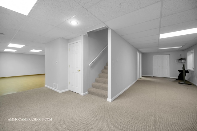 basement featuring a drop ceiling and carpet flooring