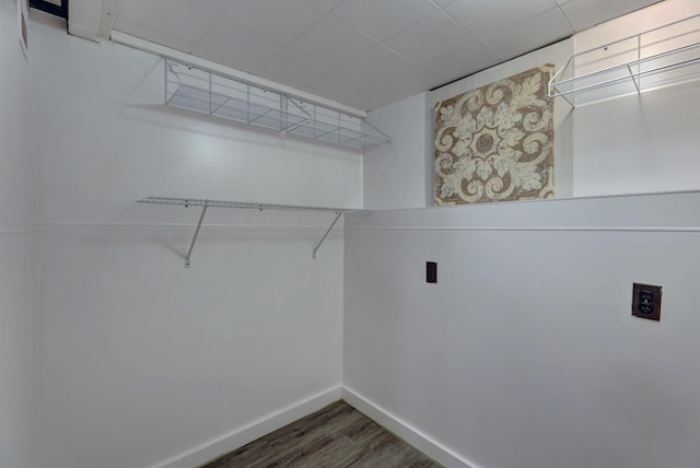 walk in closet with dark wood-type flooring