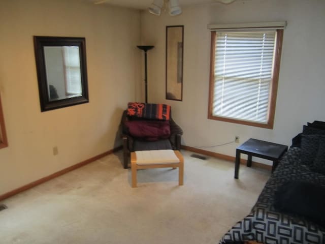 living area with carpet floors