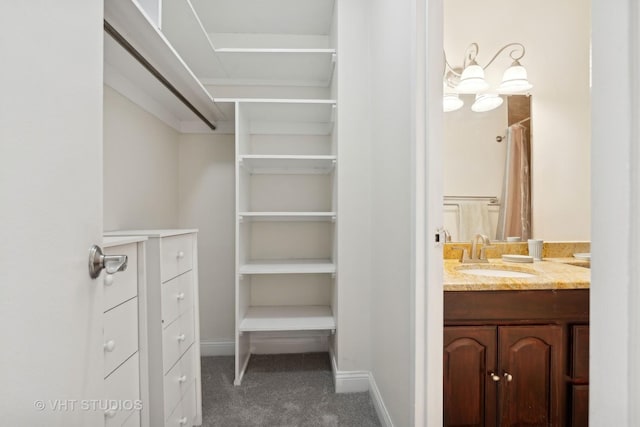 walk in closet featuring sink and carpet flooring