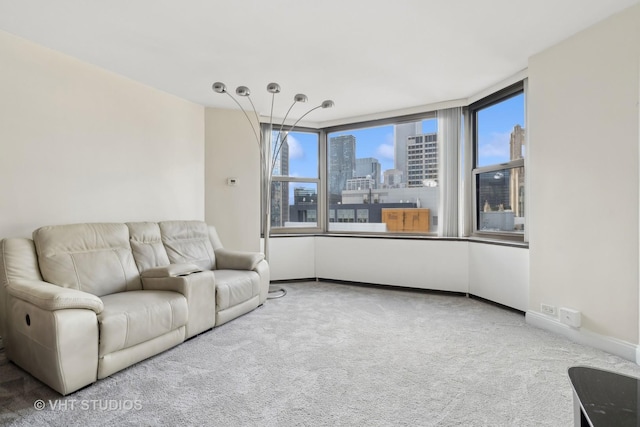 living room featuring carpet flooring