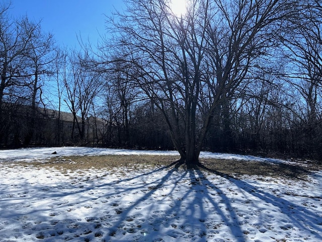 view of yard layered in snow