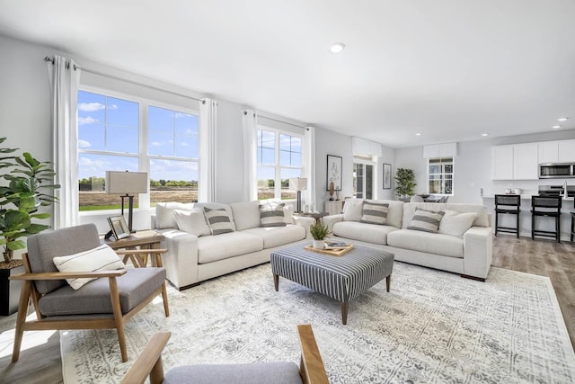 living room featuring light hardwood / wood-style flooring