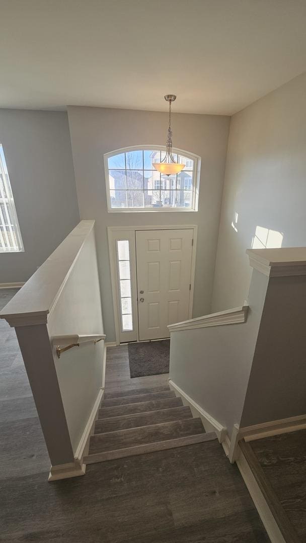 foyer with dark hardwood / wood-style flooring