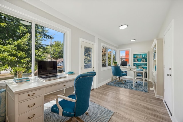 office featuring light hardwood / wood-style floors and a healthy amount of sunlight