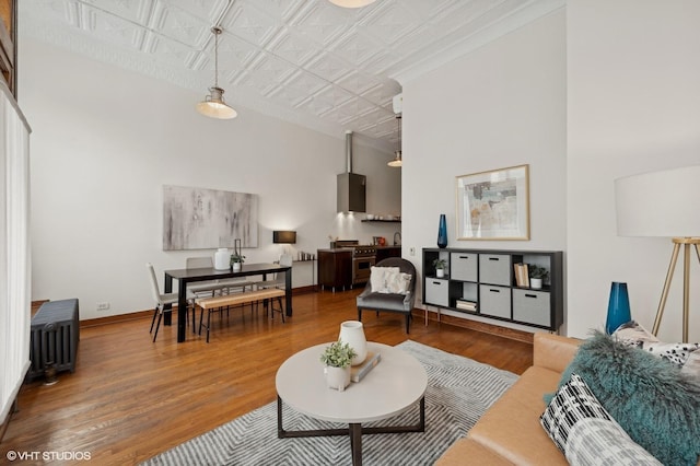 living room featuring hardwood / wood-style floors