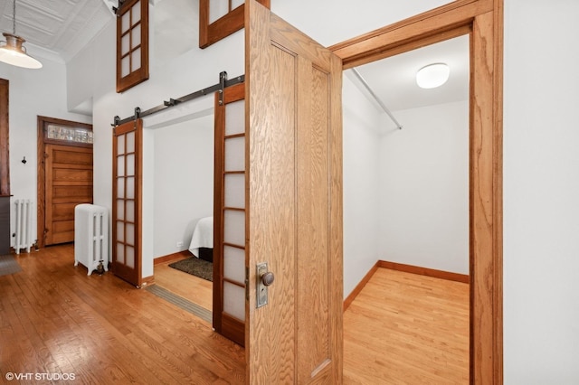 corridor featuring a barn door, radiator heating unit, and light hardwood / wood-style flooring