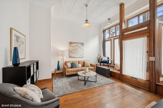 living room featuring radiator and light hardwood / wood-style flooring