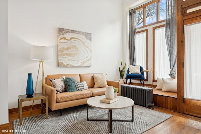 living area featuring radiator and wood-type flooring