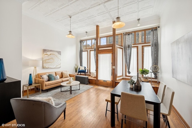 living room featuring radiator and light hardwood / wood-style flooring