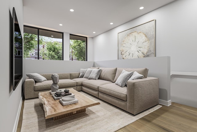 living room with wood-type flooring