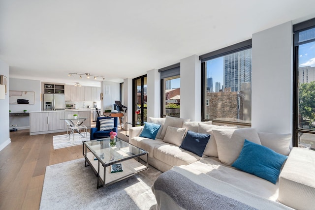 living room with light hardwood / wood-style floors