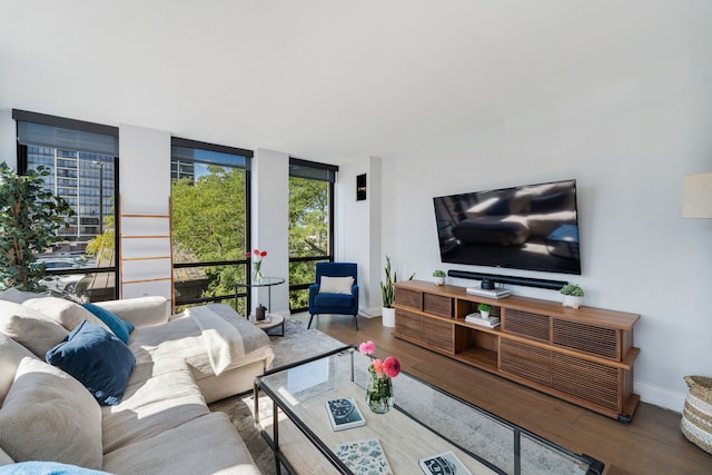 living room featuring wood-type flooring and a wall of windows