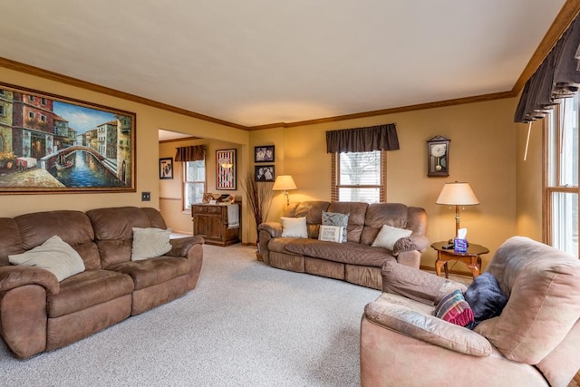 carpeted living room with crown molding