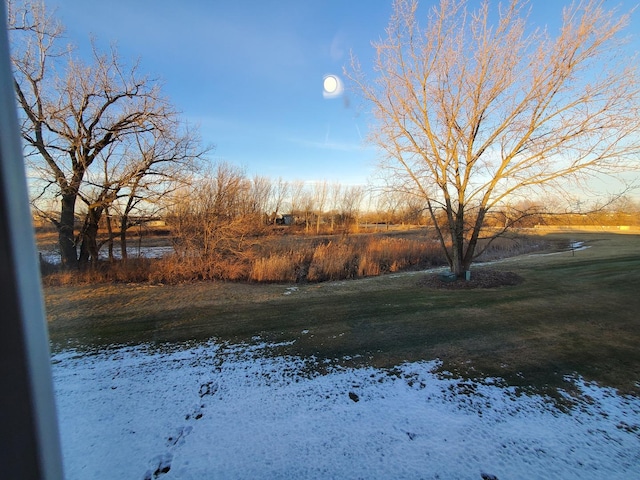 view of snowy yard