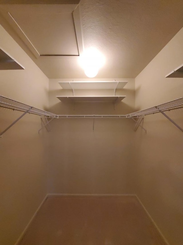 view of spacious closet